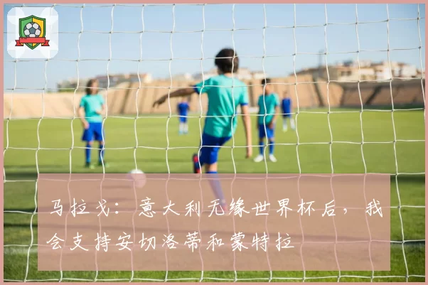 马拉戈:意大利无缘世界杯后,我会支持安切洛蒂和蒙特拉