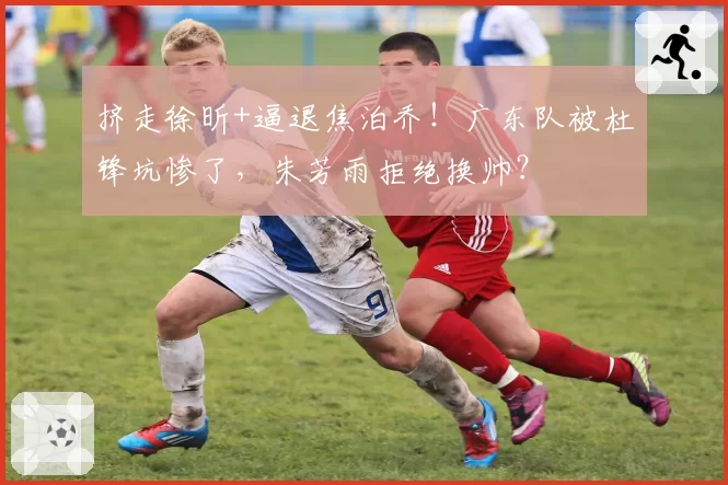 挤走徐昕+逼退焦泊乔!广东队被杜锋坑惨了,朱芳雨拒绝换帅?