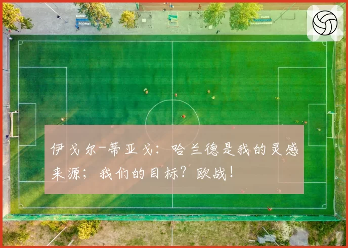 伊戈尔-蒂亚戈：哈兰德是我的灵感来源；我们的目标？欧战！