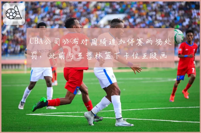CBA公司公布对周琦追加停赛两场处罚，此前与王哲林篮下卡位互殴画面成关键证据