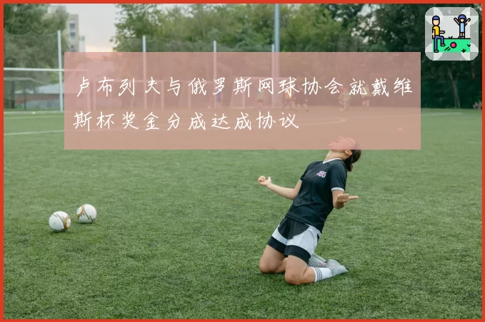 卢布列夫与俄罗斯网球协会就戴维斯杯奖金分成达成协议